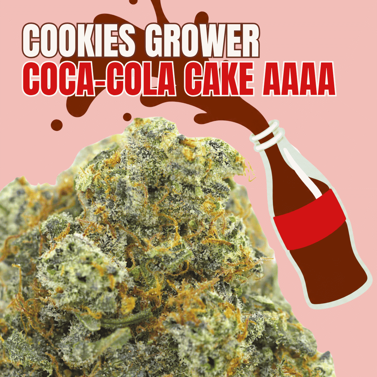 Cookies Grower: Coca-Cola Cake AAAA
