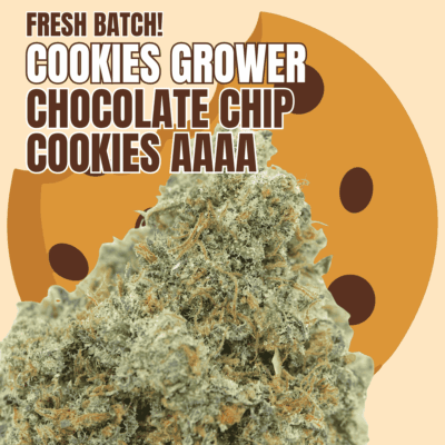 Cookies Grower: Chocolate Chip Cookies AAAA