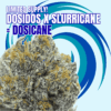 Dosidos x Slurricane = Dosi Cane