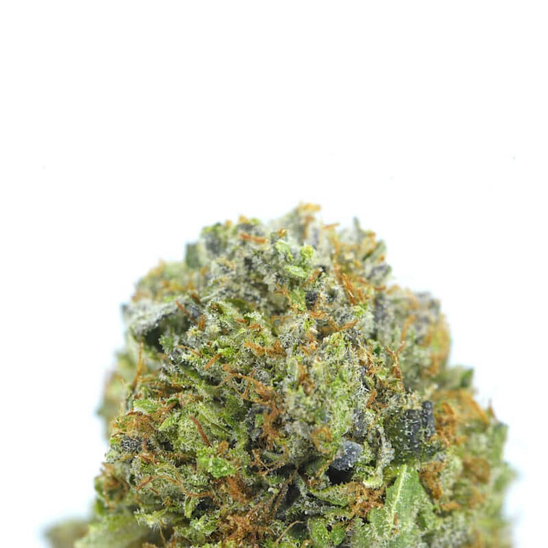 Cannabis MOM | JJ Meds