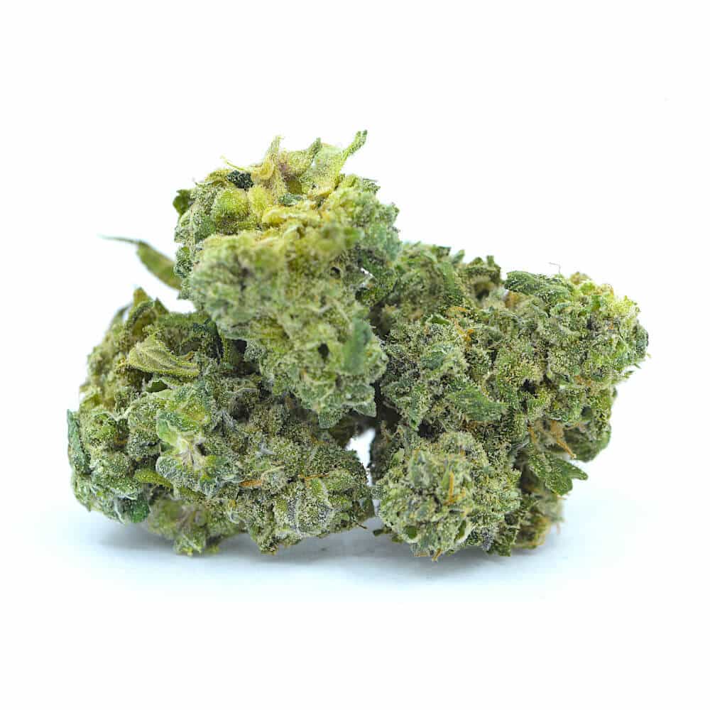 Bushman Kush - Image 3
