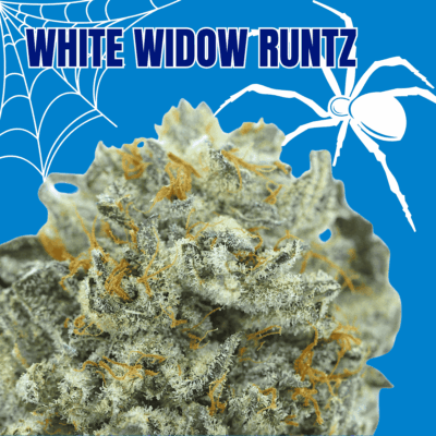 White Widow Runtz