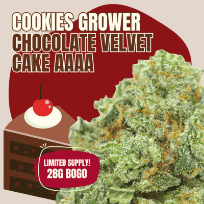 Cookies Grower: Chocolate Velvet Cake AAAA