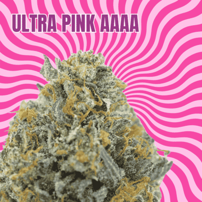 Ultra Pink AAAA