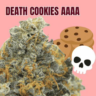 Death Cookies AAAA