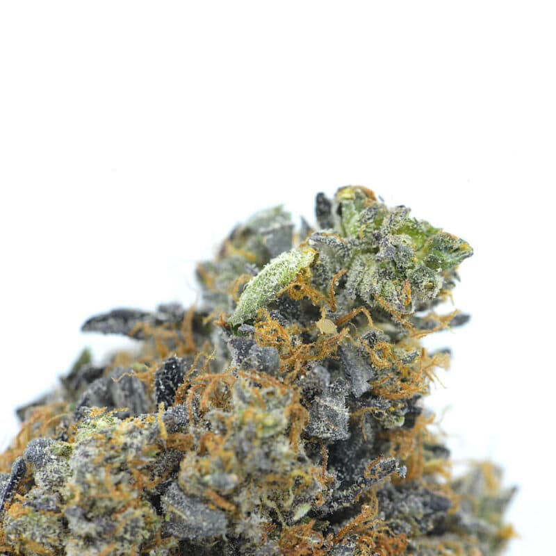 Cannabis MOM | JJ Meds