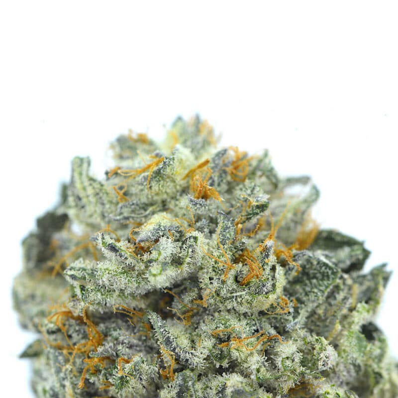 Cannabis MOM | JJ Meds