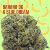 Banana OG x Blue Dream