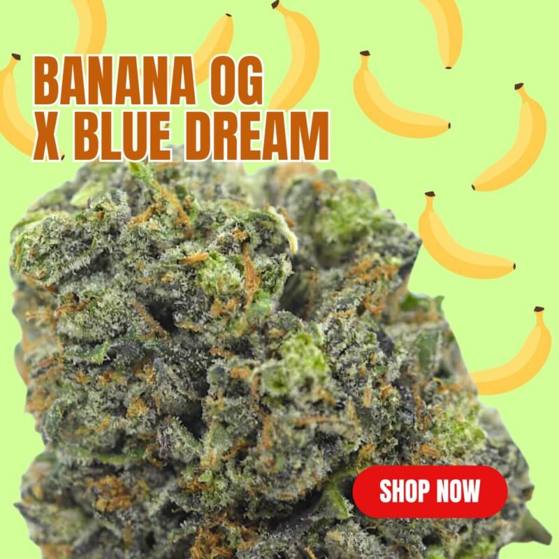 Cannabis MOM | JJ Meds