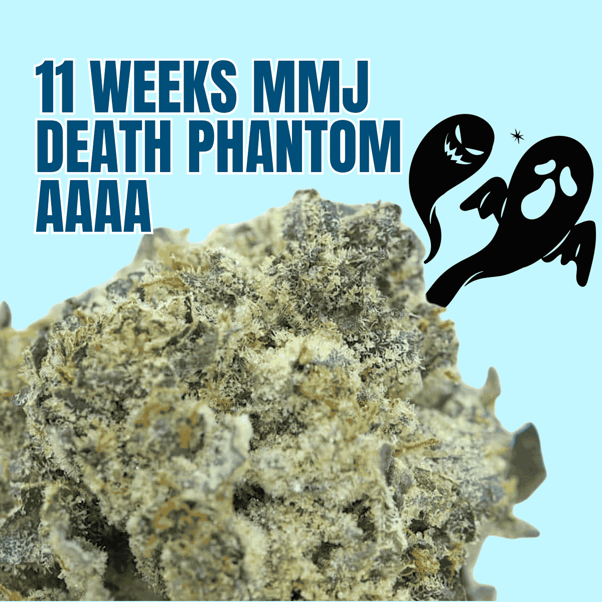 Photographie source: Death Phantom AAAA