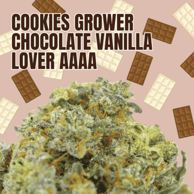 Cookies Grower: Chocolate Vanilla Lover AAAA