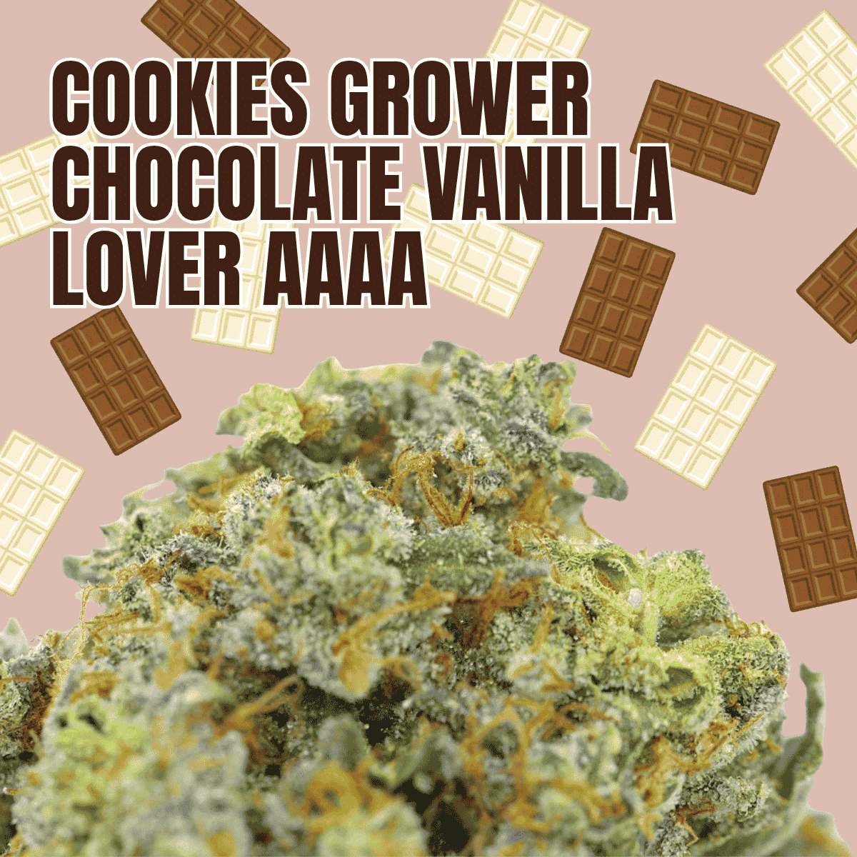 Cookies Grower: Chocolate Vanilla Lover AAAA