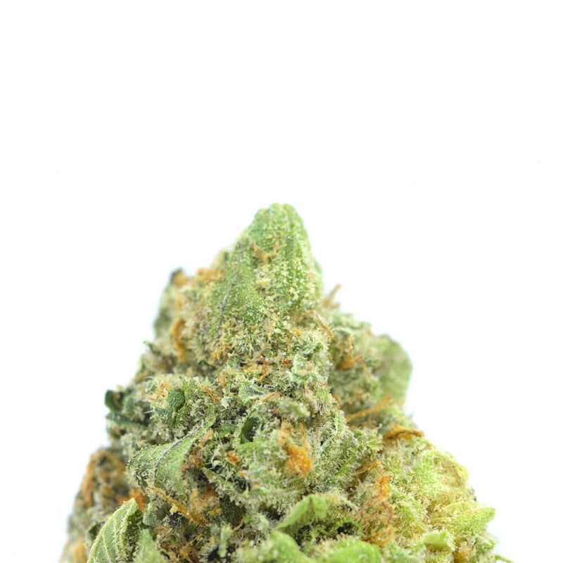 Cannabis MOM | JJ Meds