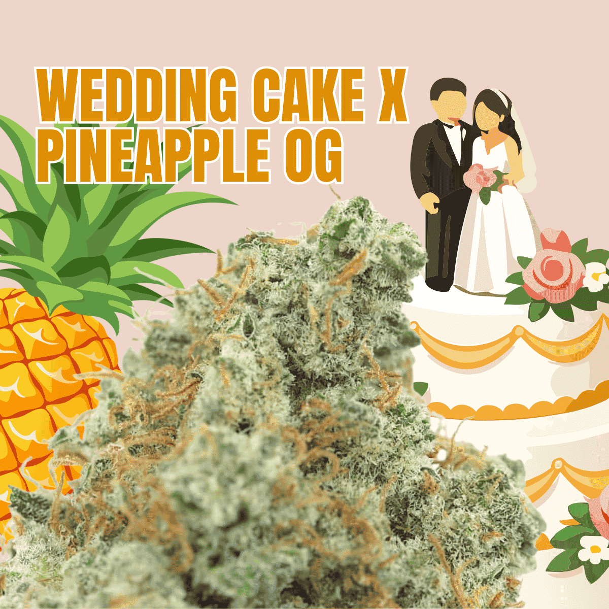 Photographie source: Wedding Cake x Pineapple OG