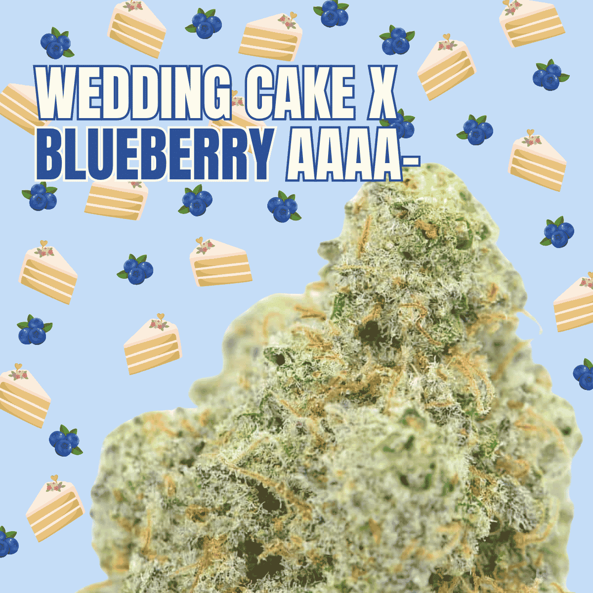 Photographie source: Wedding Cake x Blueberry AAAA