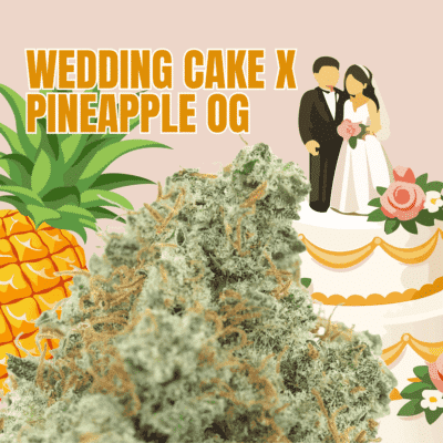 Wedding Cake x Pineapple OG