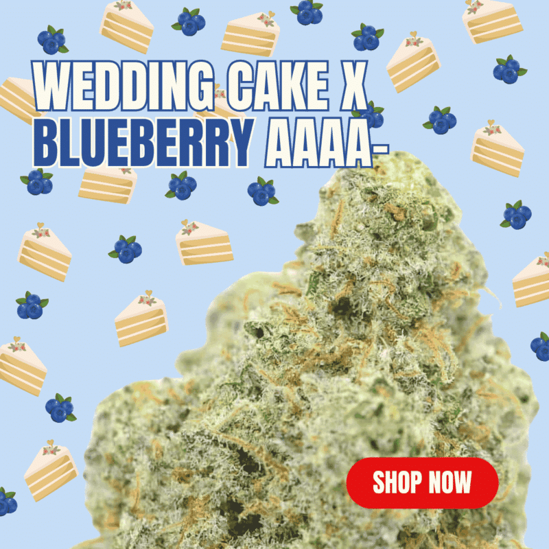 Cannabis MOM | JJ Meds