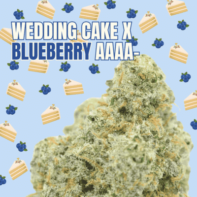 Wedding Cake x Blueberry AAAA-