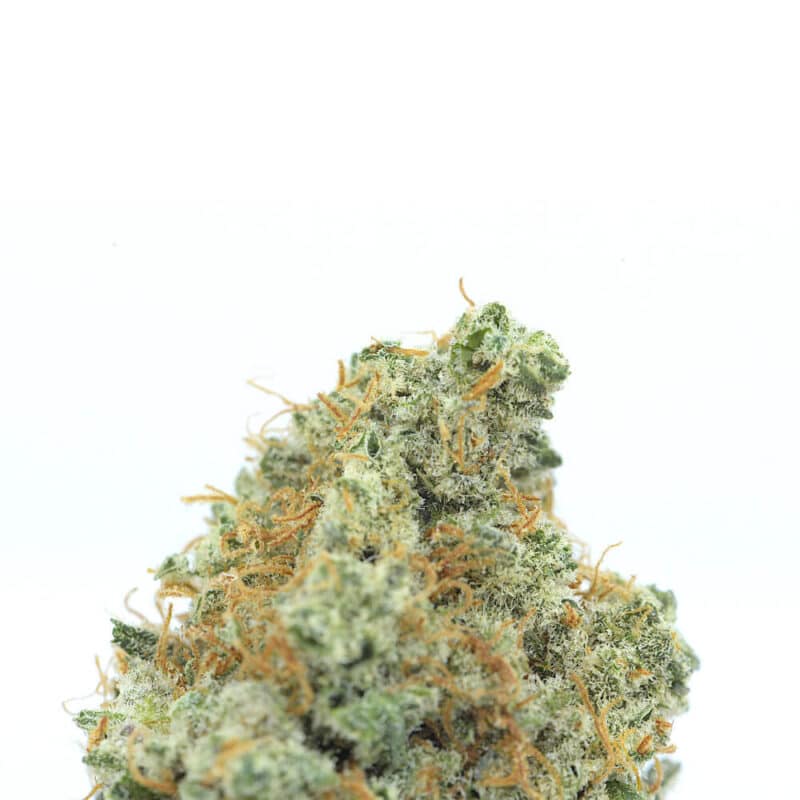 Cannabis MOM | JJ Meds
