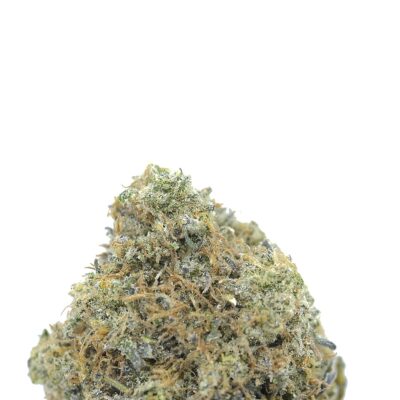 Great White Shark x Wedding Cake AAAA