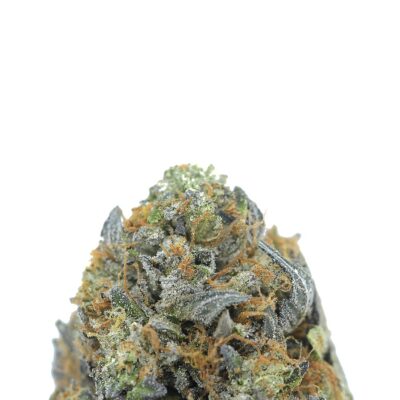 Alternative view of Cookies Grower: Master Kush AAAA