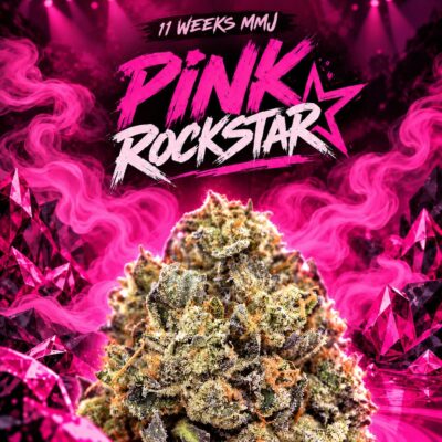 11 Weeks MMJ: Pink Rockstar AAAA *$69/oz QUAD*