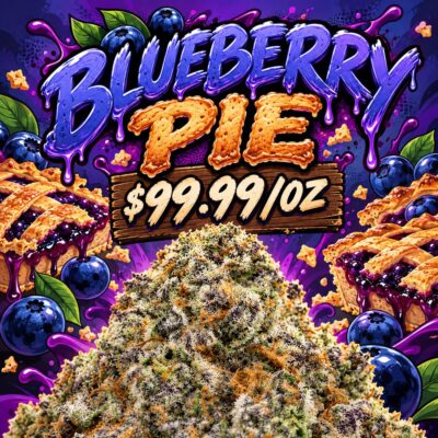 Blueberry Pie