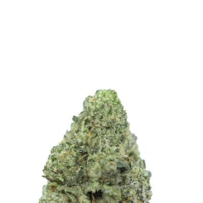 Alternative view of Chem Daddy Purps