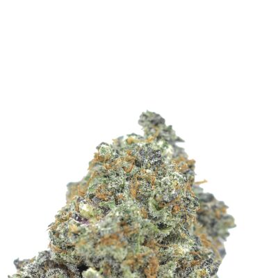 Alternative view of Gelato Cookies