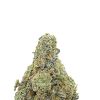 Alternative view of Cookies Grower: Cookie Cake AAAA