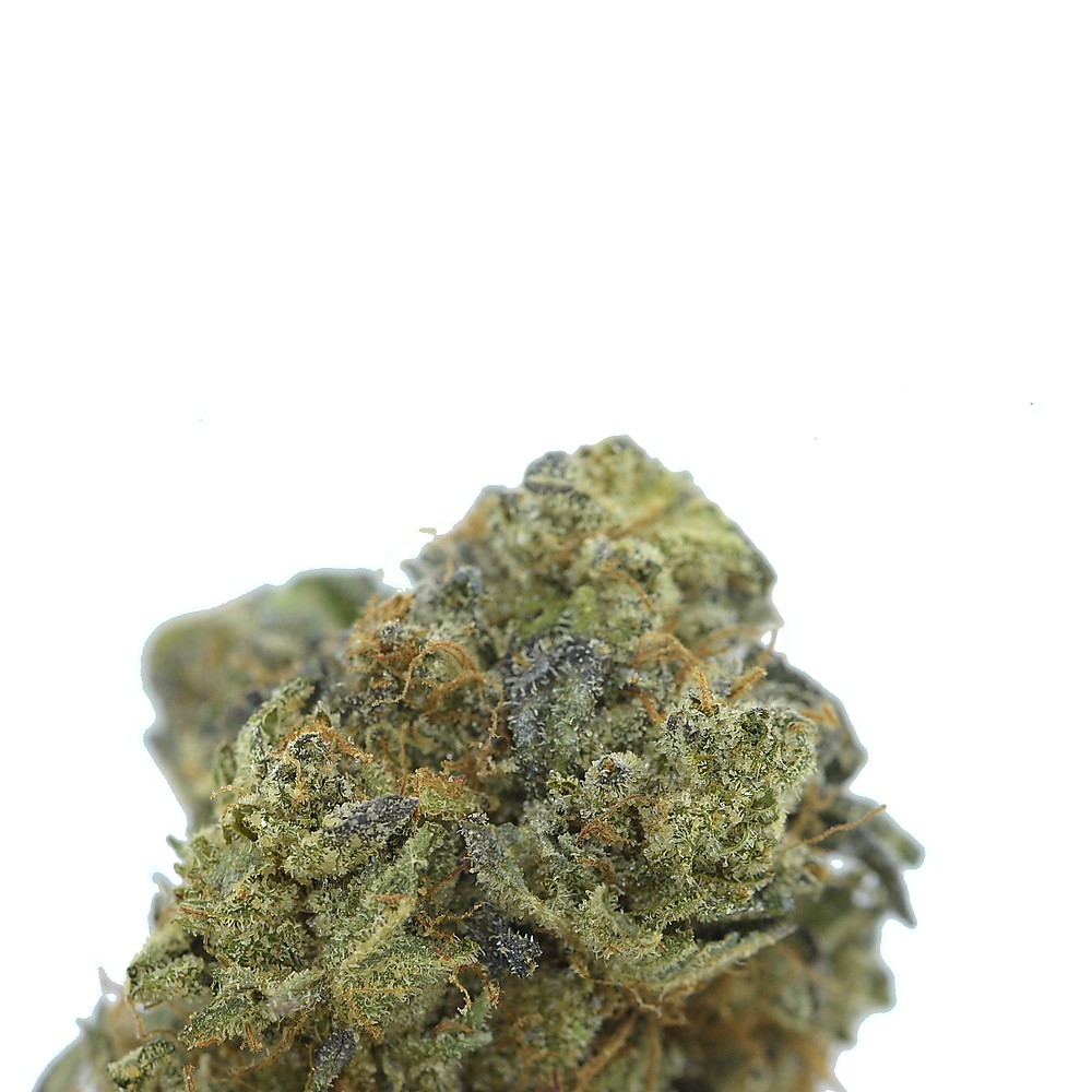 Mike Tyson OG AAAA - Image 2