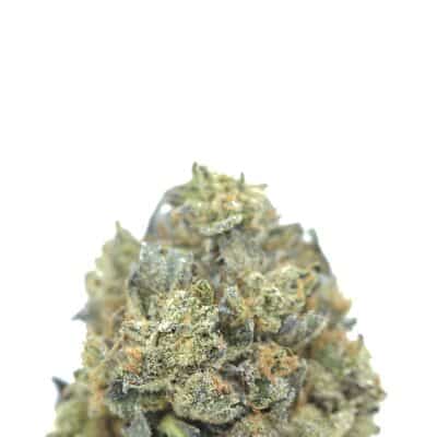 Alternative view of 11 Weeks MMJ: Pink Rockstar AAAA *$69/oz QUAD*