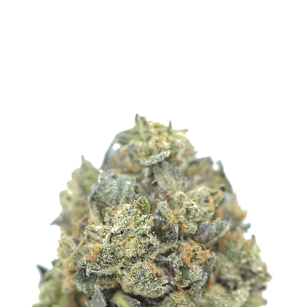 11 Weeks MMJ: Pink Rockstar AAAA *$69/oz QUAD* - Image 2