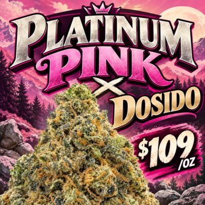 Platinum Pink x Dosido
