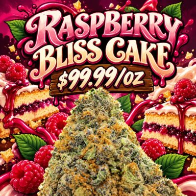 Raspberry Bliss Cake